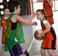/album/mini-basket1/dsc-0225-2-jpg/