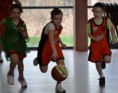 /album/mini-basket1/dsc-0231-2-jpg/