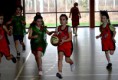 /album/mini-basket1/dsc-0232-2-jpg/